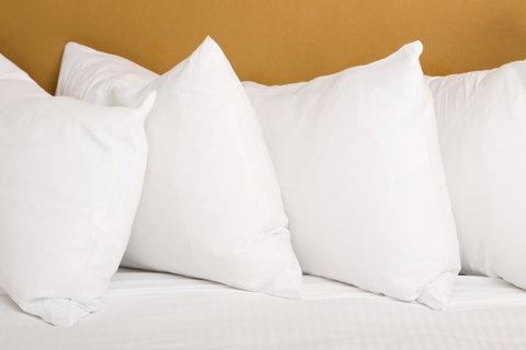 Emerald Central Hotel Official - Holiday Cairns 25