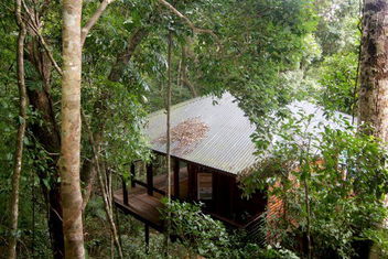 Cairns Rainforest Retreat with Holiday Cairns