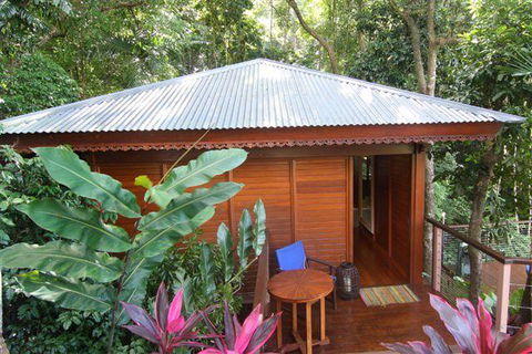 Cairns Rainforest Retreat - Holiday Cairns 5