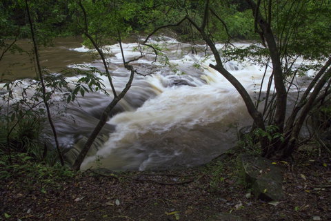 Bower 63 - Holiday Cairns 24