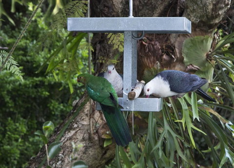 Bower 63 - Holiday Cairns 22