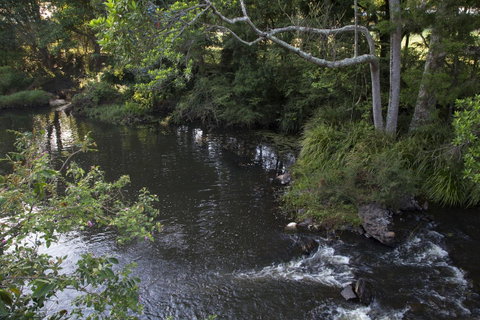 Bower 63 - Holiday Cairns 23