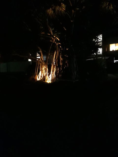 Pandanus Coolum Beach - Holiday Cairns 8