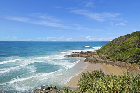 Pandanus Coolum Beach - Holiday Cairns 12
