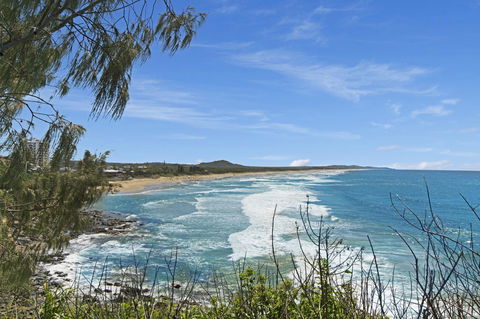Pandanus Coolum Beach - Holiday Cairns 17