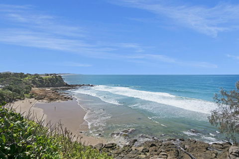 Pandanus Coolum Beach - Holiday Cairns 13