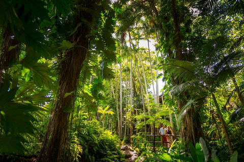 Cairns Colonial Club Resort - Holiday Cairns 22