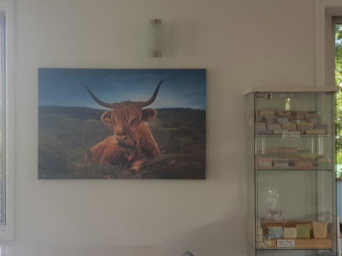 Highland House - Holiday Cairns 4