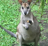 Bluewater Bed  Breakfast Cairns - Holiday Cairns