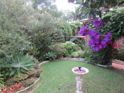 Shasta Place - Holiday Cairns 4