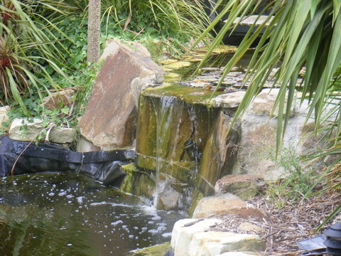 Weeroona Bed And Breakfast - Holiday Cairns 2
