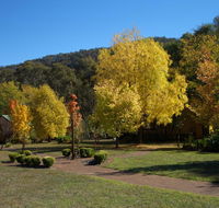 Willowlake Cottages - Holiday Cairns