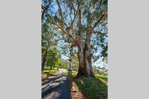 WOOLWAY - Holiday Cairns 1