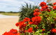 Wytonia Beachfront Accommodation - thumb 3