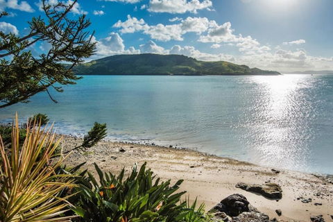 Yacht Club 19 Villa Bijou De Mer Ocean Front Private Pool 2 Buggies - Holiday Cairns 1