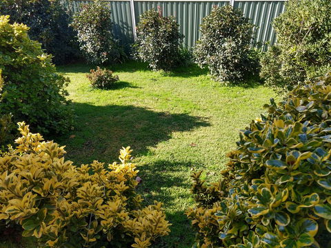 Young Goldrush Motel - Holiday Cairns 3