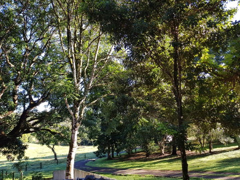 Bee-Haven Cottage - Holiday Cairns 7