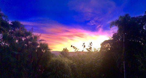 Daintree Manor B&B - Holiday Cairns 3