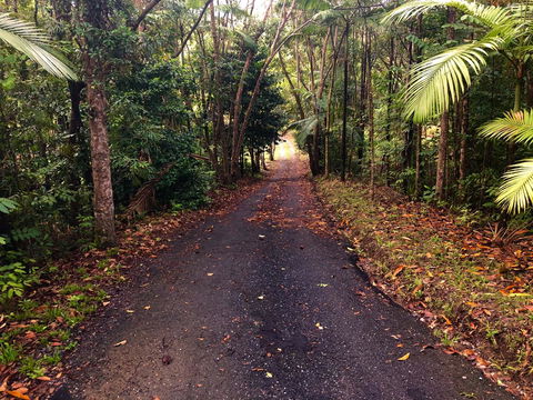 Daintree Manor B&B - Holiday Cairns 12