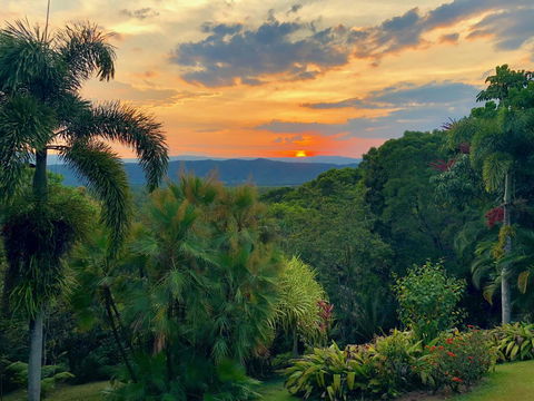 Daintree Manor B&B - Holiday Cairns 13