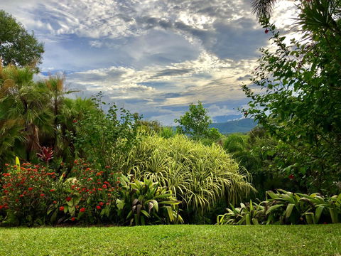 Daintree Manor B&B - Holiday Cairns 2