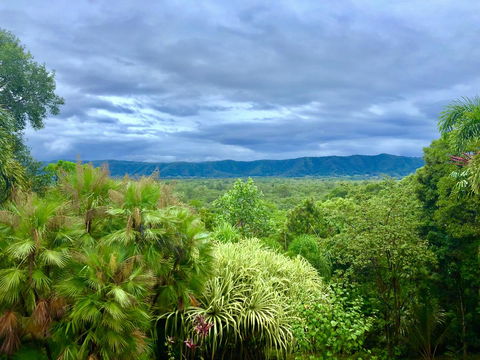 Daintree Manor B&B - Holiday Cairns 0