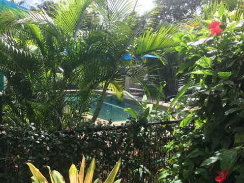 Tropical Palms Resort & 4WD Hire - Holiday Cairns 19