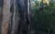 Tropical Palms Resort & 4WD Hire - thumb 16