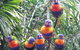 Tropical Palms Resort & 4WD Hire - thumb 36