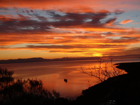 Tropical Palms Resort & 4WD Hire - Holiday Cairns 30