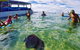 Magnetic Island Guest House - thumb 20
