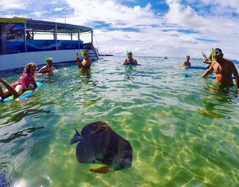 Magnetic Island Guest House - Holiday Cairns 20