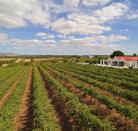 1837 Barossa Luxury Vineyard Cottages - Holiday Cairns