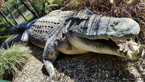 Cairns Gateway Resort - Holiday Cairns 4