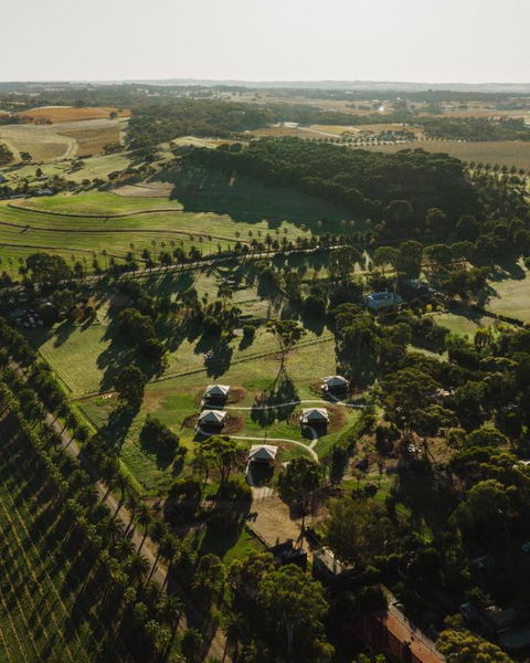 CANVS By CABN Seppeltsfield Barossa - Holiday Cairns 1