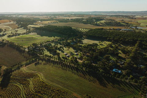 CANVS By CABN Seppeltsfield Barossa - Holiday Cairns 2