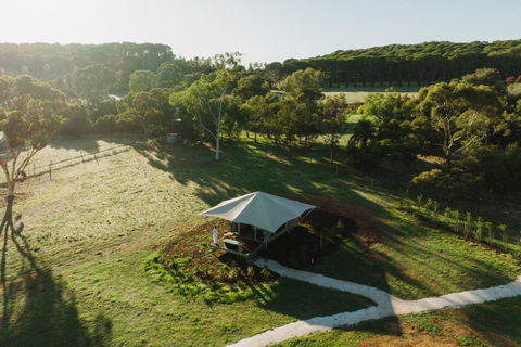 CANVS By CABN Seppeltsfield Barossa - Holiday Cairns 0