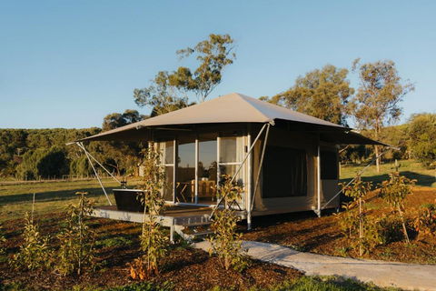 CANVS By CABN Seppeltsfield Barossa - Holiday Cairns 3