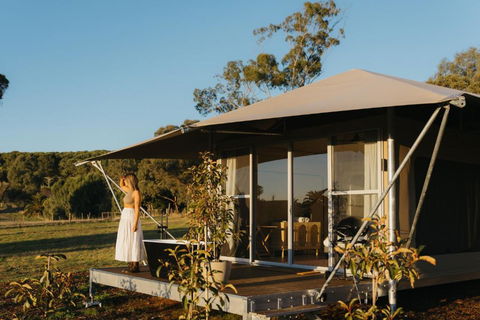 CANVS By CABN Seppeltsfield Barossa - Holiday Cairns 4