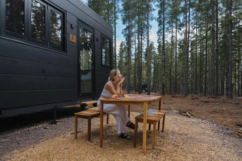 CABN Kuitpo Forest - Holiday Cairns 1