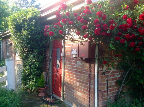 A Country Barn Retreat - Holiday Cairns 2