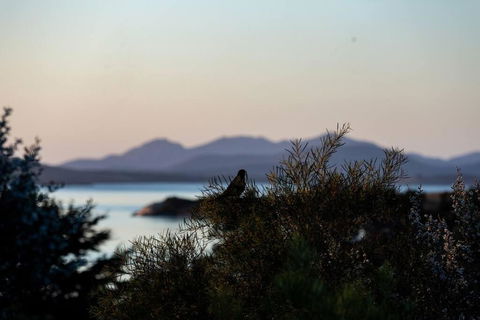 Faraway On Flinders Island - Holiday Cairns 4