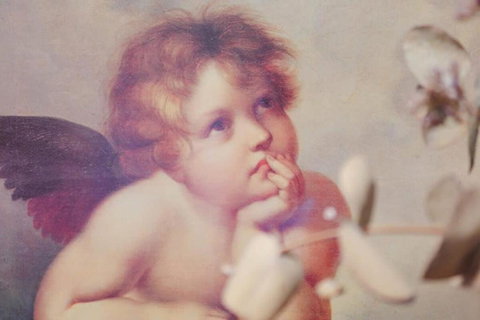 Fonton Blue Holiday Home Close To City And Airport - Holiday Cairns 4