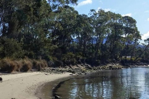 Hideaway By The Bay - Holiday Cairns 0