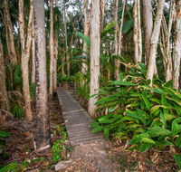 Agnes Palms Accommodation - Holiday Cairns