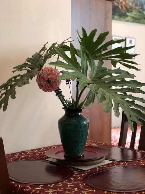 Albany Foreshore Guest House - Holiday Cairns 3