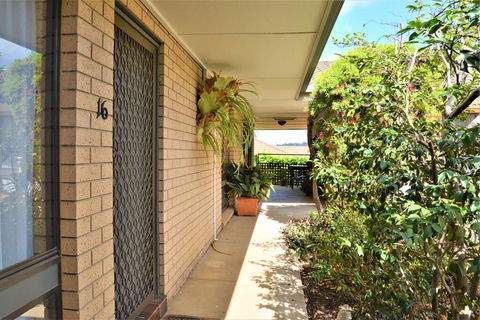 Albury Allawa Motor Inn - Holiday Cairns 2