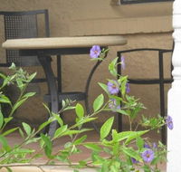 Amalie Cottage Waikerie - Holiday Cairns