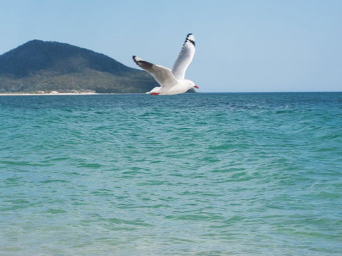 Architectural Design On The Beach - Holiday Cairns 1