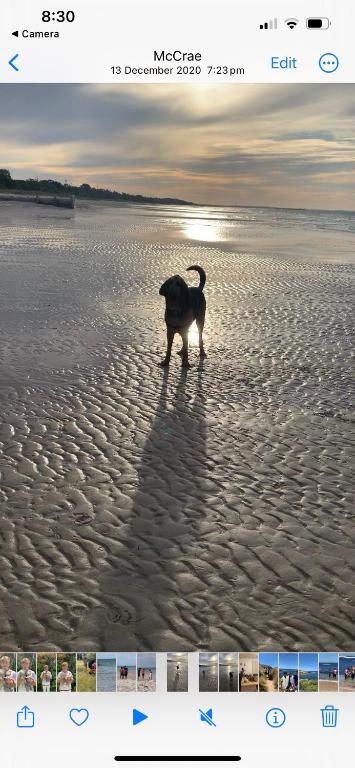 Mcrae Retro Beach House ! - Holiday Cairns 2